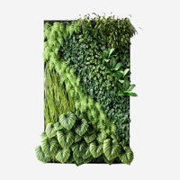 اجرای دیواره سبز